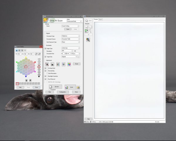 The final button opens a dialog that allows you to change color relations based on a simplified visual dialog. Here the 'Reset' button is grayed out showing that no changes have been applied. If the button is available, then click to reset to the default.