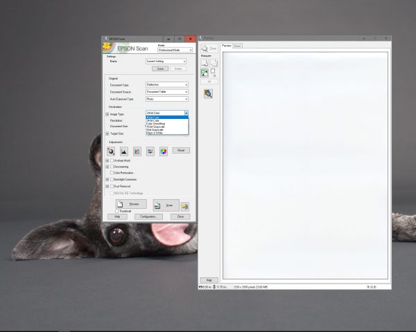 Next, make sure that you are using the highest possible bit depth for color. In Photoshop, we think about this in terms of 8-bit or 16-bit color. Scanners represent this same information as a multiple of three (for each of the Red, Green, and Blue color channels) so 24 bit color results in an 8-bit photo whereas 48 bit color results in a 16-bit image.