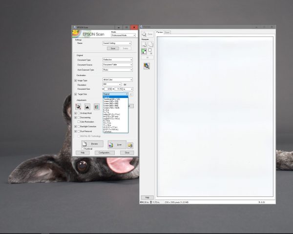 Finally, make sure that you are not automatically resizing the file after it is scanned. Photoshop will allow much better options for resizing. Also note that all optimizing settings (sharpening, dust removal, et cetera) have been deselected. Those are also best done in Photoshop.
