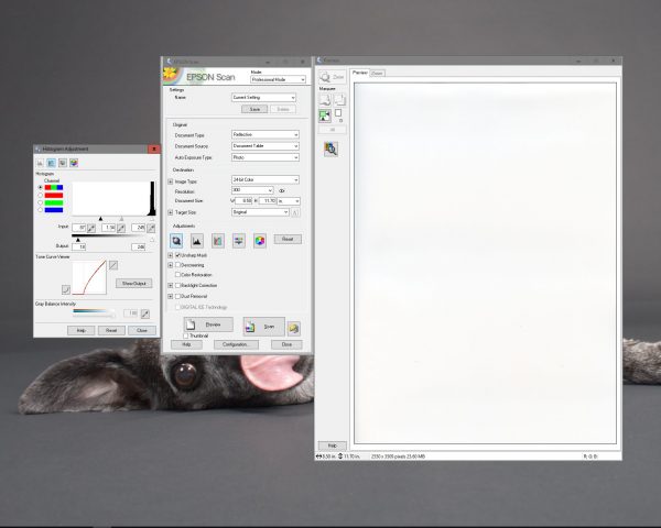 The next step is to make sure that no information is lost due to automatically applied optimization. By selecting the 'Histogram Adjustment' button, you can see that the black and white points were all significantly modified with the default setting (note the numbers under the histogram).