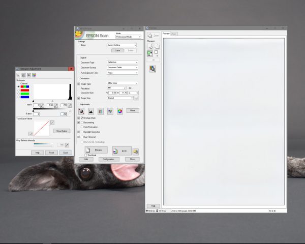 Notice how the settings were changed back to their default values here and that the resulting tone curve is now a flat diagonal line. These values are the same that you would see in a Photoshop Levels dialog.