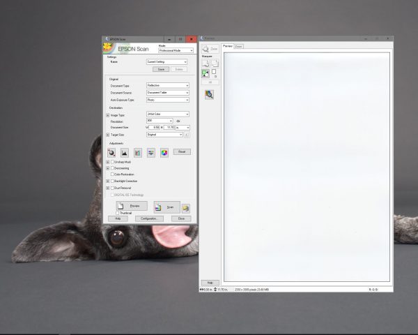 The next button reveals the 'Tone Correction' dialog. This window corresponds to a Photoshop Curves window and it can be used to modify the individual Red, Green, and Blue channels. Make sure that the tone curve name reads Linear and that the resulting tone curve only shows one straight black diagonal line. Anything else means the settings must be reset.